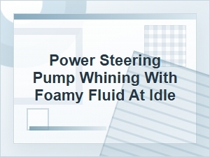 Power Steering Pump Whining with Foamy Fluid